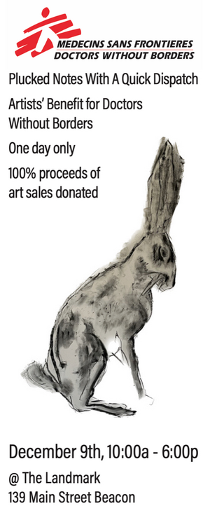 Artists' Benefit for Doctors Without Borders